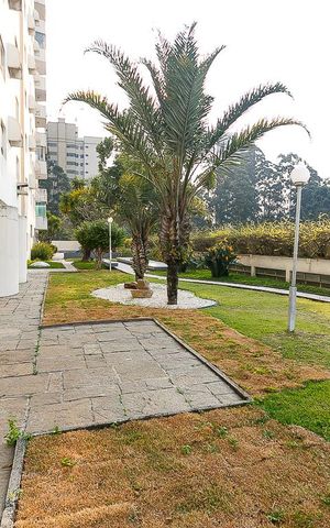 Apartamento à venda com 221m², 4 quartos e 3 vagasÁrea comum