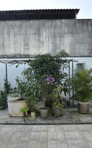 Apartamento à venda com 390m², 3 quartos e 4 vagasQuintal Fundos