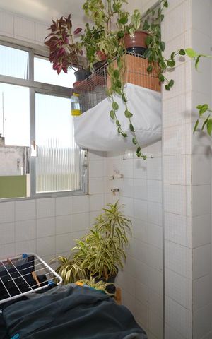 Apartamento à venda com 85m², 3 quartos e 2 vagasCozinha e Área de Serviço