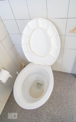 Casa para alugar com 330m², 6 quartos e sem vaga Casa para alugar com 330m², 6 quartos e sem vagaBanheiro de Serviço