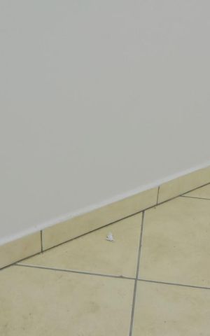 Apartamento para alugar com 20m², 1 quarto e sem vagaDormitório
