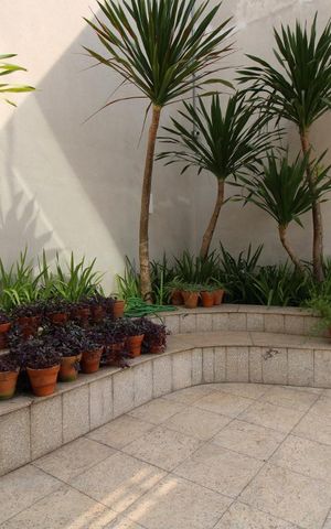 Apartamento para alugar com 68m², 2 quartos e 1 vagaÁrea comum