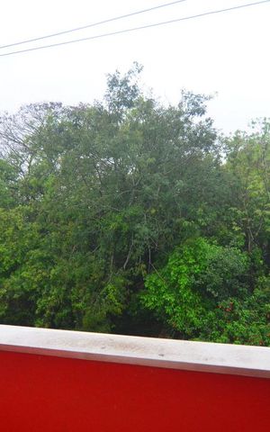 Casa à venda com 511m², 4 quartos e 10 vagasVista Quarto 2