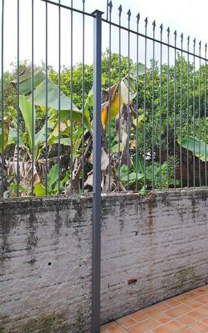 Casa à venda com 120m², 2 quartos e 1 vagaQuarto 2 - casa 2 - Vista
