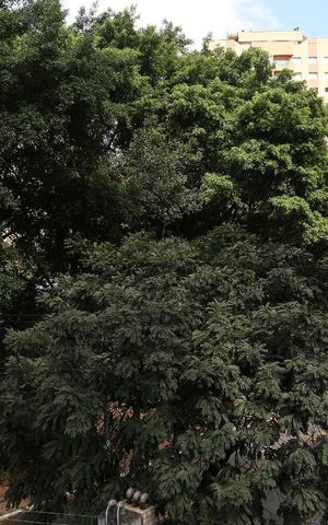 Studio à venda com 35m², 1 quarto e 1 vagaVista da Varanda