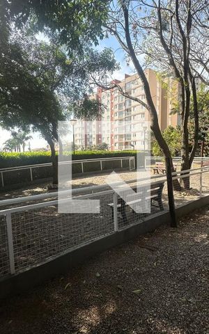 Apartamento à venda com 64m², 2 quartos e 1 vagaÁrea comum - Área Pet