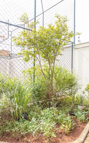 Apartamento à venda com 32m², 1 quarto e sem vagaHorta Área Comum