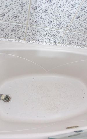 Apartamento à venda com 245m², 4 quartos e 4 vagasBanheira