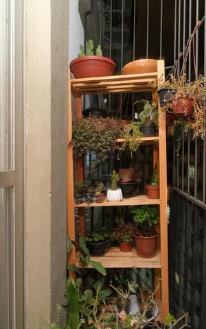 Apartamento à venda com 55m², 2 quartos e 1 vagaVaranda
