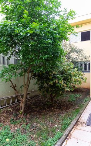 Casa à venda com 350m², 4 quartos e 4 vagasQuintal