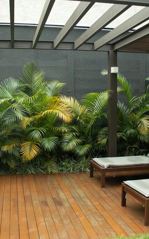 Apartamento à venda com 33m², 1 quarto e 1 vaga Apartamento à venda com 33m², 1 quarto e 1 vagaÁrea Verde