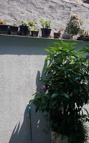 Casa à venda com 150m², 3 quartos e 2 vagas Casa à venda com 150m², 3 quartos e 2 vagasVista do Quarto 2