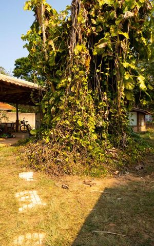 Casa à venda com 140m², 2 quartos e 20 vagas Casa à venda com 140m², 2 quartos e 20 vagasÁrea comum - Quintal