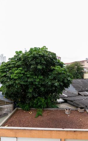 Apartamento para alugar com 66m², 3 quartos e 1 vagaVista do Quarto 1