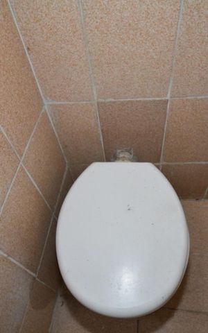 Studio para alugar com 30m², 1 quarto e sem vagaBanheiro