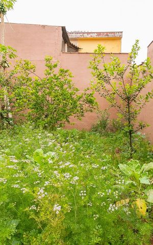 Casa à venda com 150m², 3 quartos e 2 vagasQuintal - Jardim