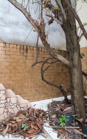 Casa à venda com 230m², 4 quartos e 4 vagasQuintal
