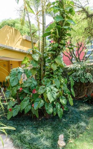 Casa à venda com 198m², 3 quartos e 2 vagas Casa à venda com 198m², 3 quartos e 2 vagasQuintal