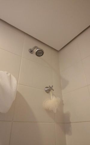 Apartamento para alugar com 67m², 2 quartos e 1 vagaChuveiro
