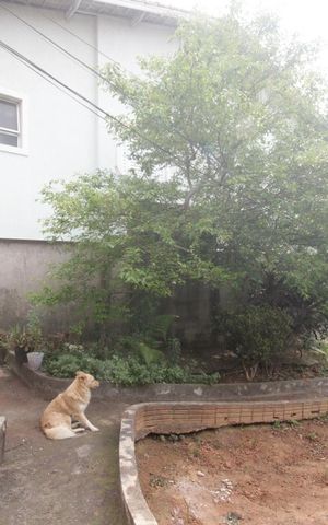 Casa à venda com 140m², 2 quartos e 2 vagasÁrea Externa