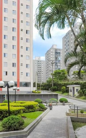 Apartamento para alugar com 60m², 2 quartos e 1 vagaÁrea Externa