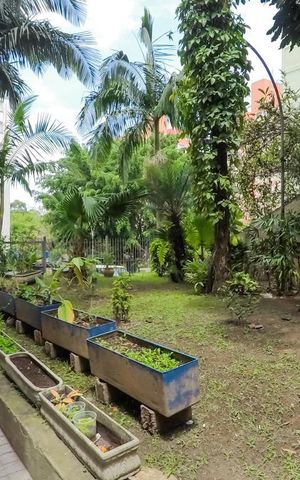 Apartamento para alugar com 60m², 2 quartos e 1 vagaÁrea Externa
