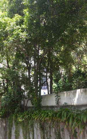 Apartamento para alugar com 70m², 2 quartos e sem vagaVista
