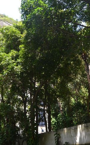 Apartamento para alugar com 70m², 2 quartos e sem vagaVista