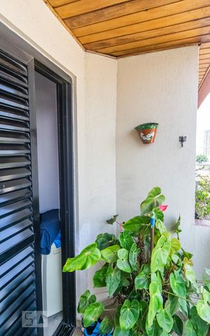 Apartamento à venda com 114m², 3 quartos e 3 vagas Apartamento à venda com 114m², 3 quartos e 3 vagasSuíte 1