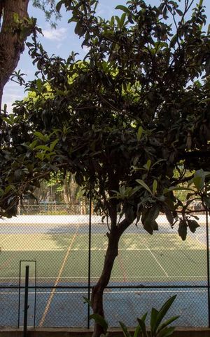 Apartamento à venda com 117m², 3 quartos e 1 vagaVista da Sala