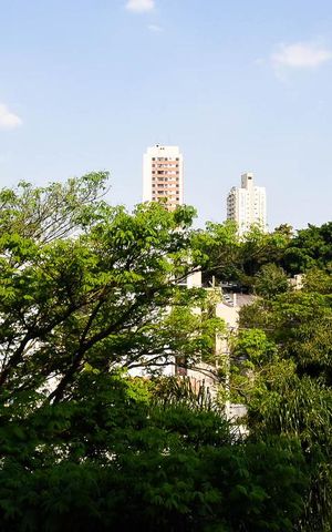 Apartamento à venda com 50m², 2 quartos e 1 vagaVista do quarto 2