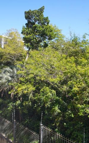 Apartamento para alugar com 60m², 2 quartos e 1 vagaQuarto 1 - Vista