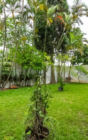 Casa à venda com 570m², 4 quartos e 4 vagas Casa à venda com 570m², 4 quartos e 4 vagasQuintal