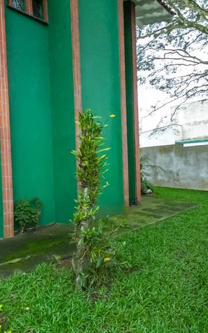 Casa à venda com 570m², 4 quartos e 4 vagas Casa à venda com 570m², 4 quartos e 4 vagasQuintal