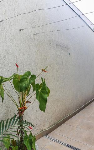 Casa à venda com 150m², 5 quartos e 3 vagas Casa à venda com 150m², 5 quartos e 3 vagasQuarto 2 Edicula Vista