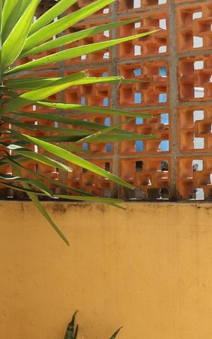 Casa para alugar com 125m², 3 quartos e 2 vagasVista do Dormitório 2