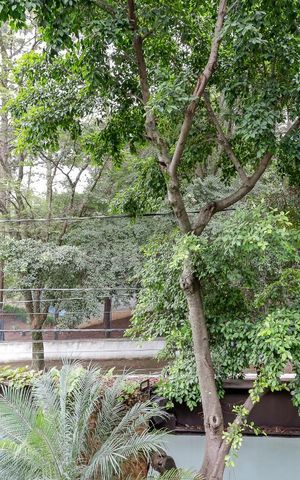 Casa de condomínio à venda com 790m², 4 quartos e 6 vagasVista da Suíte 1
