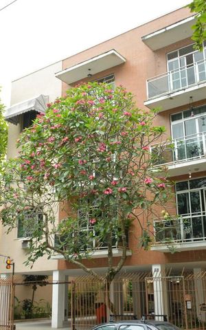 Apartamento à venda com 60m², 2 quartos e 1 vagaFachada do bloco