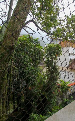Casa para alugar com 590m², 6 quartos e 6 vagas Casa para alugar com 590m², 6 quartos e 6 vagasVista