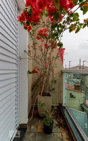 Casa à venda com 240m², 3 quartos e 3 vagas Casa à venda com 240m², 3 quartos e 3 vagasSacada