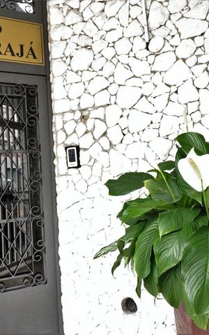 Apartamento para alugar com 65m², 2 quartos e sem vagaFachada