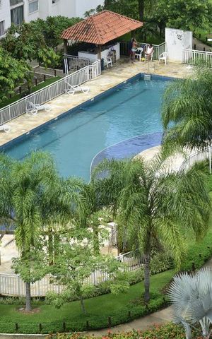 Apartamento para alugar com 52m², 2 quartos e 1 vagaÁrea comum - Piscina