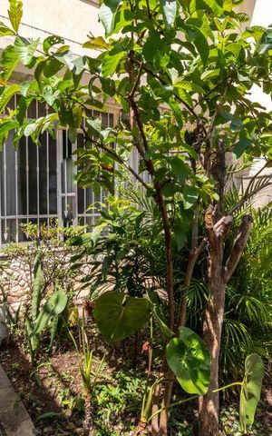 Casa à venda com 178m², 3 quartos e 3 vagasQuintal