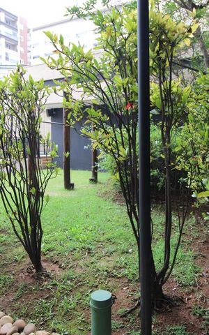 Apartamento à venda com 43m², 1 quarto e 1 vagaÁrea comum