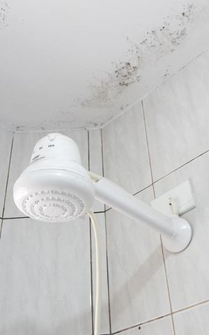 Casa à venda com 75m², 5 quartos e 3 vagasBanheiro da Suíte 2