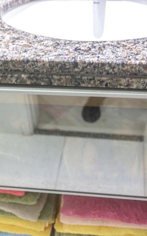 Apartamento à venda com 53m², 2 quartos e 1 vagaArmário