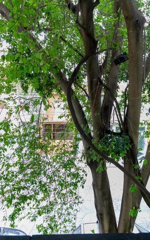 Casa para alugar com 120m², 3 quartos e sem vagaVista do Quarto 1