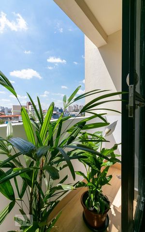 Apartamento para alugar com 60m², 2 quartos e 1 vagaVaranda - Vista