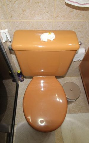 Apartamento à venda com 55m², 2 quartos e 1 vagaBanheiro social