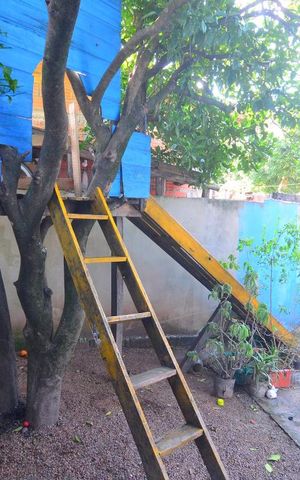 Casa para alugar com 60m², 3 quartos e 4 vagasPátio